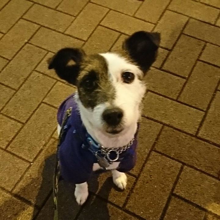 9388156a 4ebb 43c5 93c7 aa3b31b145f7 1550578100743