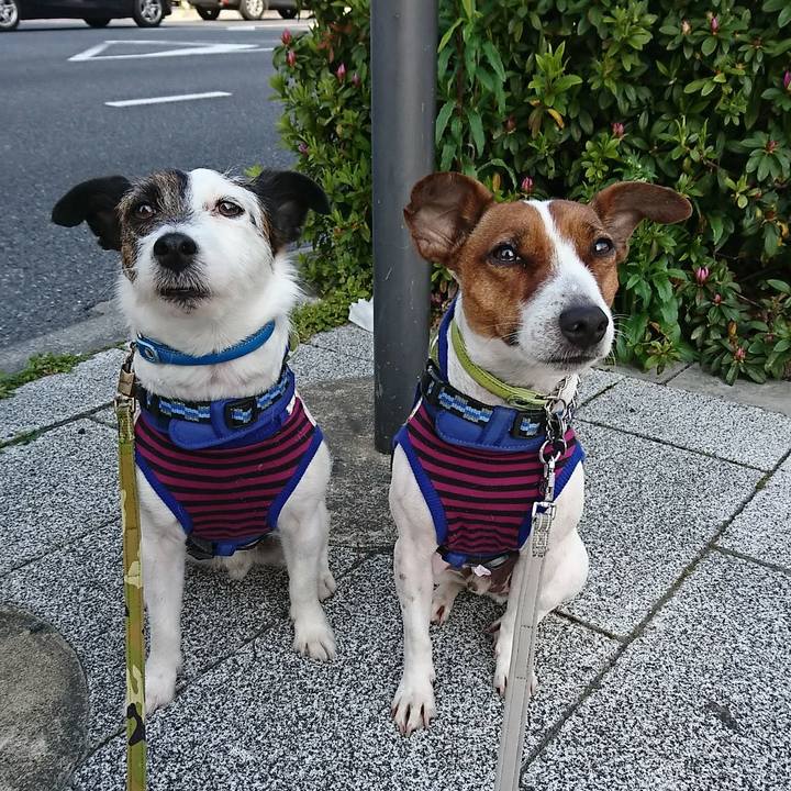 9388187d 08a2 4b62 93a7 37e47ad6f01d 1586300266809