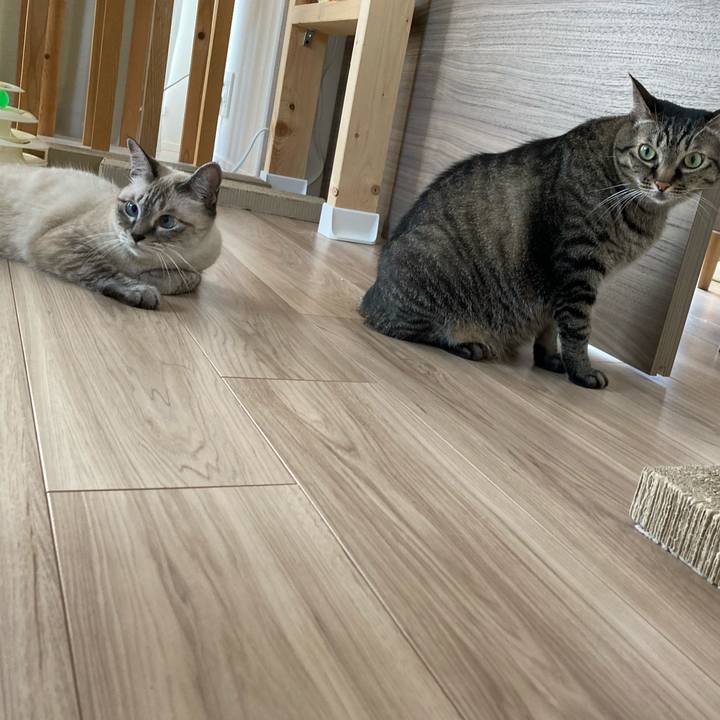 93881f84 9ea5 42b5 a5e9 12a5bda08b6e 1632355334661