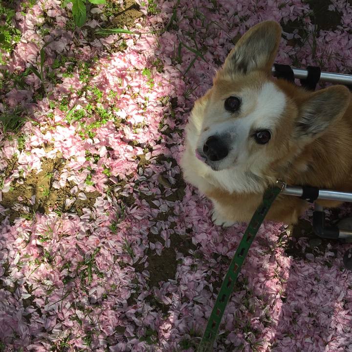 9388386b 1004 489c 9a7e d86d0b32624a 1525059050292