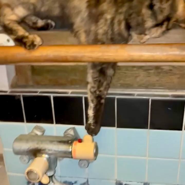 938861db dda5 4261 9e33 8eb1b22eb445 1775160395045