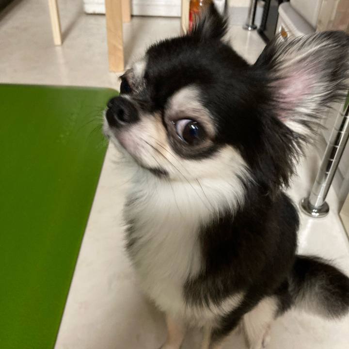 9388e609 1d21 4e44 b617 3ddfe074e2f8 1631454694481