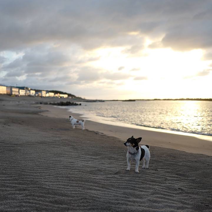 9389004e 6fd3 41dc 91ff 37ce46f4e156 1540099652167