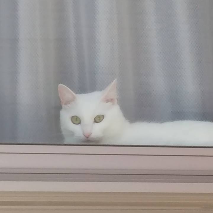 93893409 b5f3 4bf6 b15a e84b2c2d4607 1691400602699