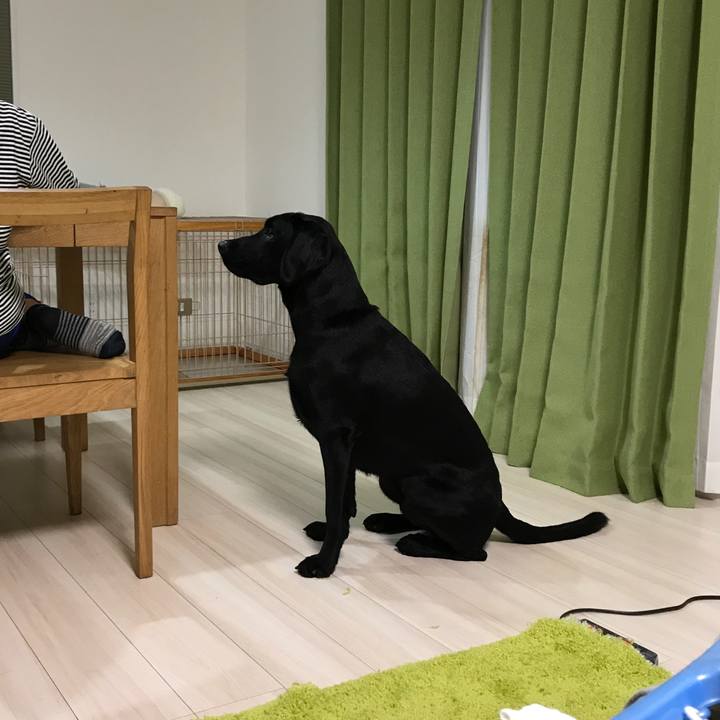 93895d14 d162 4a94 8da1 5a3045fc2a22 1508576995223