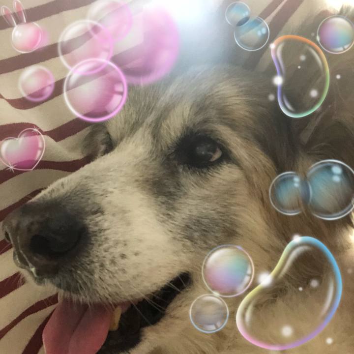 93896812 6b29 4c2e b268 e28f4bedaf8e 1536878102022