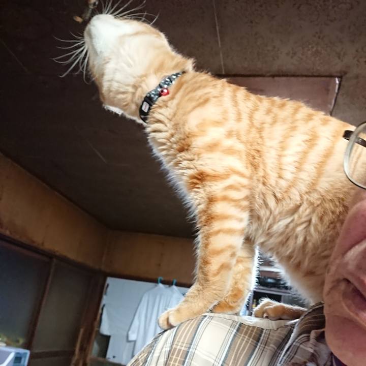 938968c9 a739 4a05 b8af cc91f68c3e0c 1637706593741