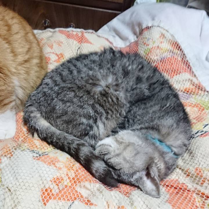 93898880 9f35 4724 9523 a96a27f6c0dd 1572612328468