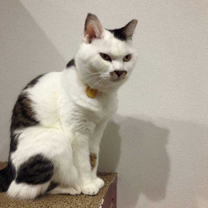 9389b565 fc12 49a9 b169 ed7b11cdb3c8 1606360477585