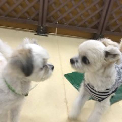 9389d4c2 c54b 43db 8ed7 93ecfac49abf 1508325019961