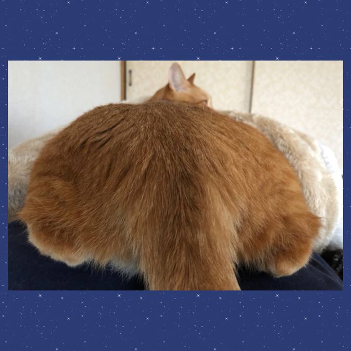 938a066d 70c2 489a bfa9 ecab960d9538 1637363071551