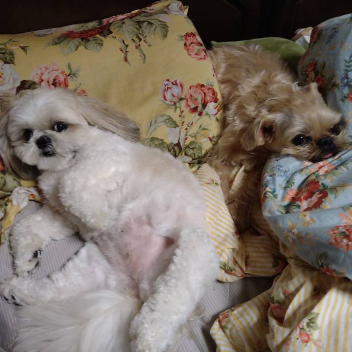 938a7b77 4c6e 4532 8be6 ca6bb7d4d5af 1652023088306