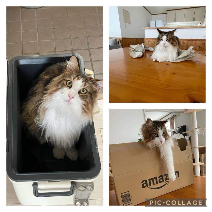 938a854d b8b3 49f9 8bc9 6491c85a78ea 1684578809961