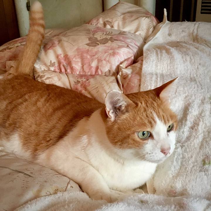 938ab184 26b3 4119 ab16 74d545f3f289 1578384063878