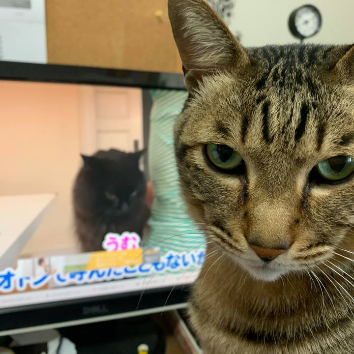 938abb65 6798 4bde ad18 2d43e16bd769 1620696461148