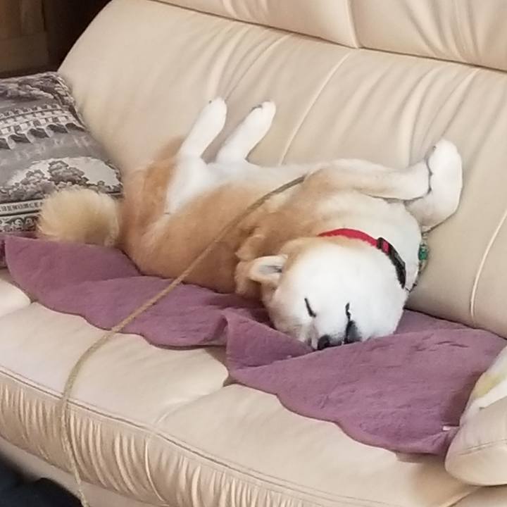 938ac10d 17ef 4882 b86f 0e66ba3c173f 1712271785548