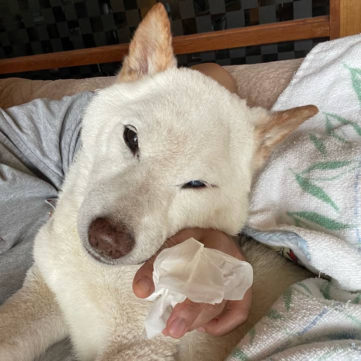 938ad3c6 cbff 4bc4 8a29 c465b75efef3 1657008920387