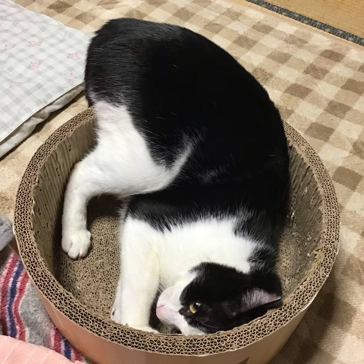 938b40b6 a4b3 4376 8a0f d1d6b19fe0aa 1730102636984