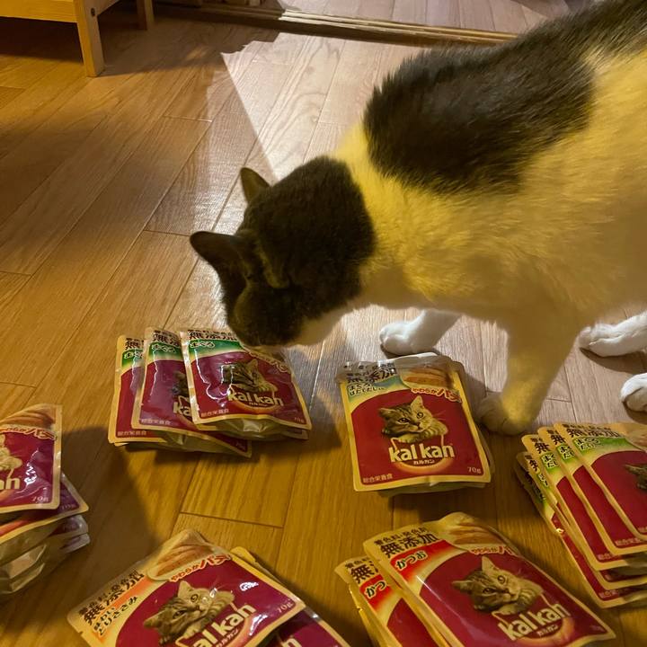 938b7250 dd25 469e 9c98 4b8890887409 1732177270092