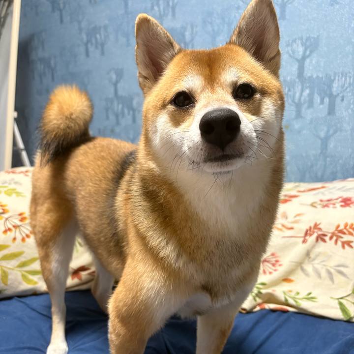 938b855b 1907 4063 9cc7 1165de722cbe 1730899285068