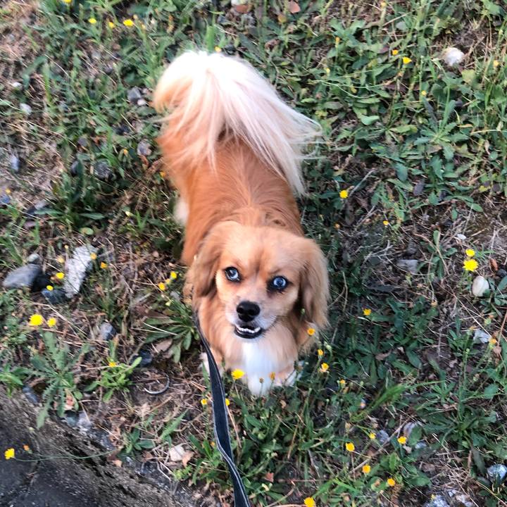 938b9c82 b3b6 42d4 a128 acadc4aa2404 1532985296308