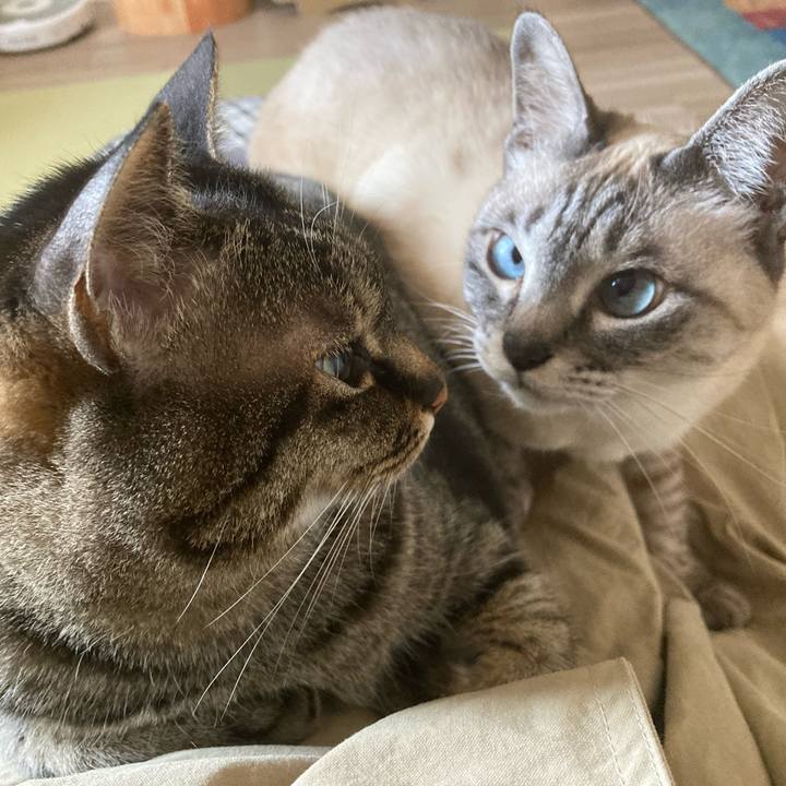 938b9e84 56f4 45b0 b4cc 87c0775a3bb4 1648887638526