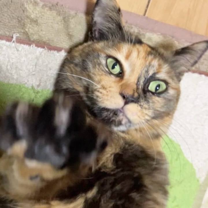 938ba0a9 fc18 498e a72a 86ba55c1df8d 1738957010196