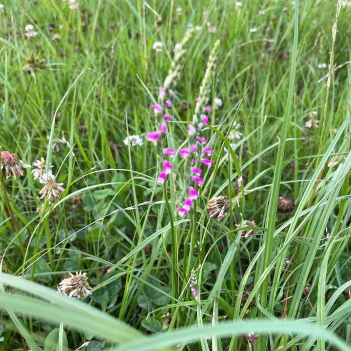 938ba3fc d2a5 424f 875c a419b791ec37 1685974537684