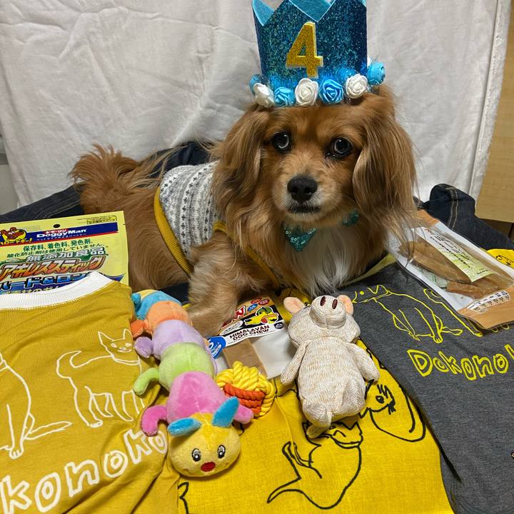 938ba7dd e958 4f61 8ac5 4fe0ae844a4f 1614421057994