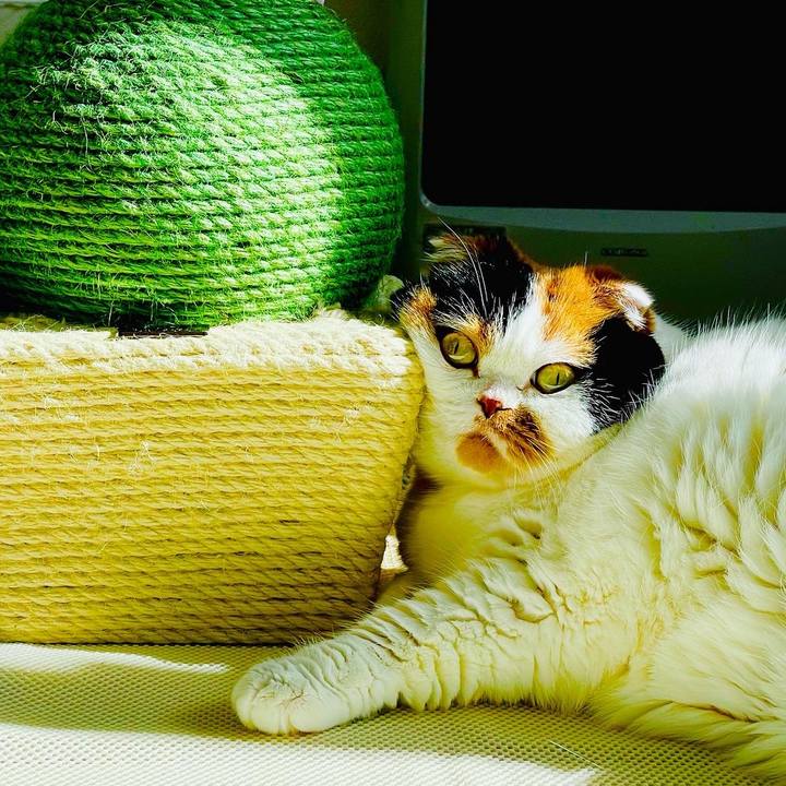 938bb898 6040 4910 a790 0a84bce3c9e9 1654671879163