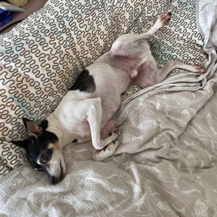 938bdbb5 310d 48ae a481 de9a6205c0fa 1589280631351