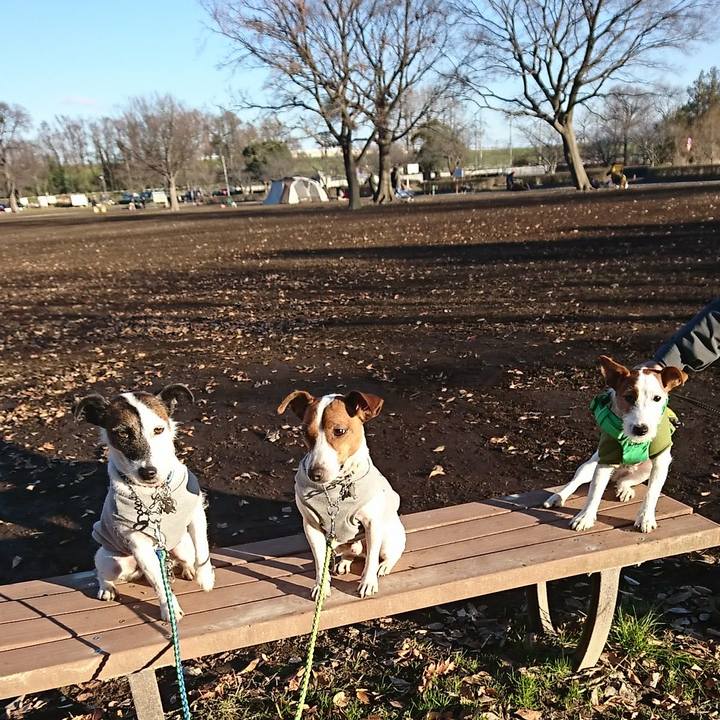 938c67bd 0b7c 4f1d 84be 4738a1102e7e 1577525719699