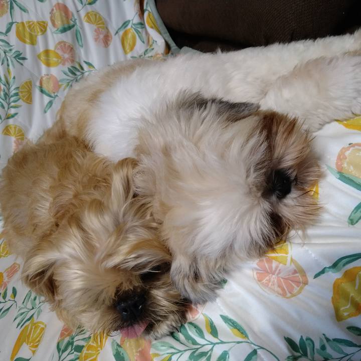 938c7d24 3635 4e66 9a86 271e70e270b4 1603026314721