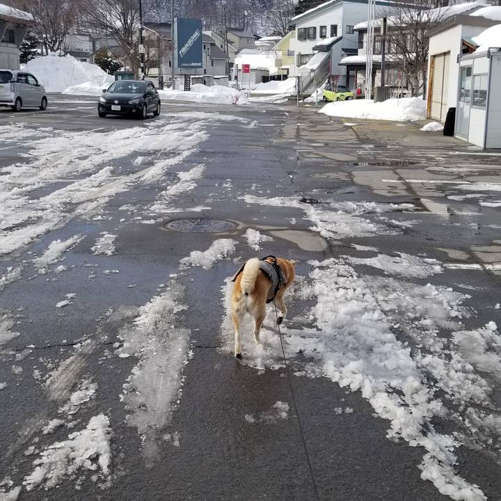 938d1591 3341 44f3 a4d2 70eb545cb0da 1736652396353