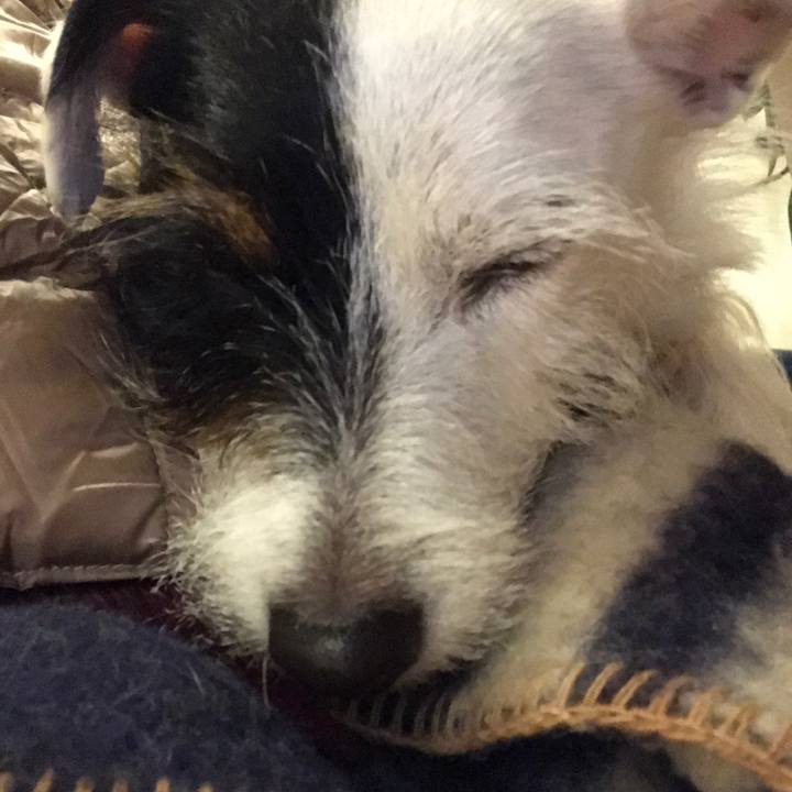 938d4da8 d101 411d b563 187d6ea011bb 1512901338529