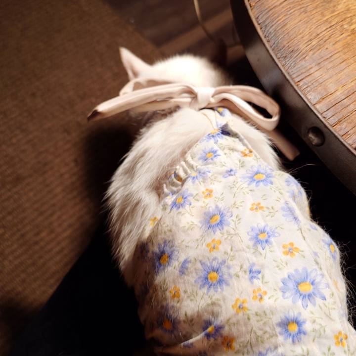 938dd480 085d 483a a87b 7fd925daf7ad 1759590572469