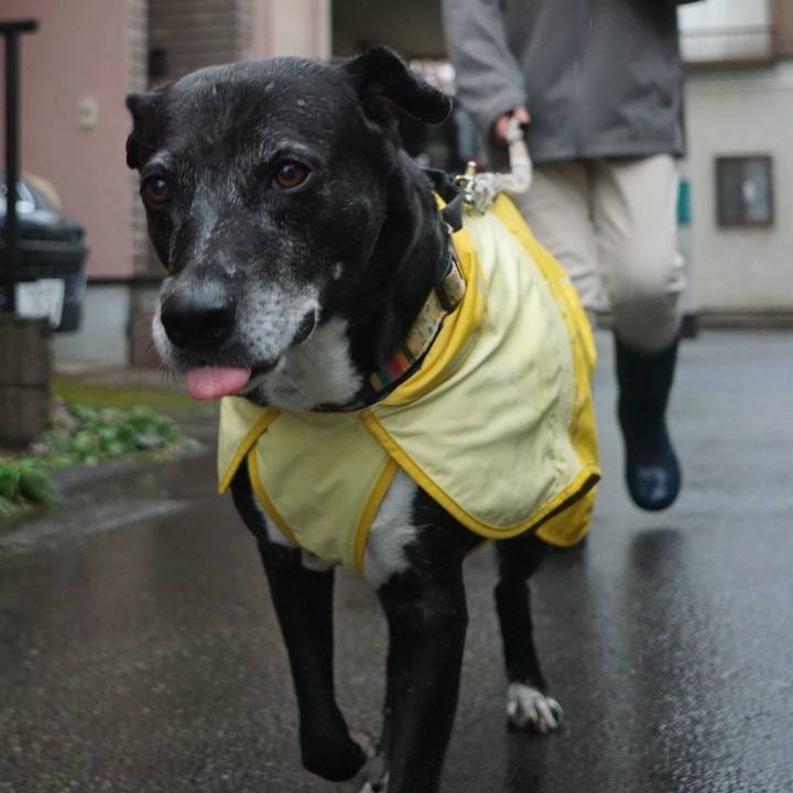 938e1174 47cd 4068 a3f8 647977cd7043 1762646161146