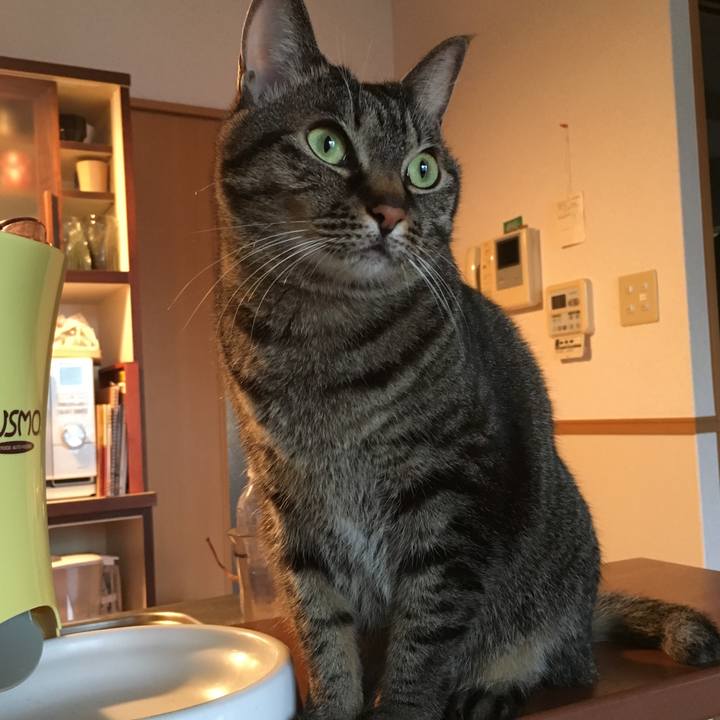 938e417b 81ed 4253 a16a 28d0f80db18c 1548245038622