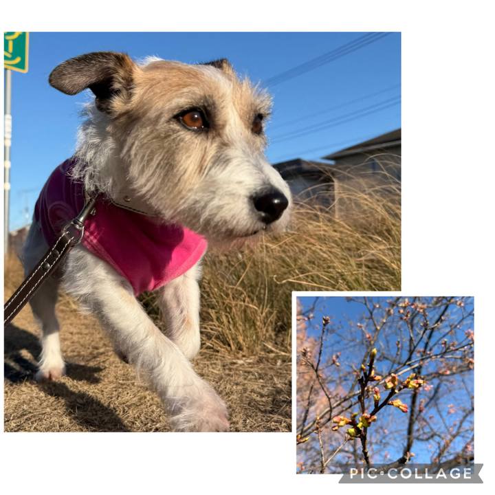 938e8d0a 698f 4104 bddc a11edd2627da 1771532573926