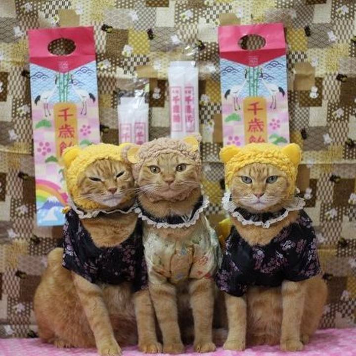 938ec284 ddbe 4912 ad4b cf4f648af529 1605438565794