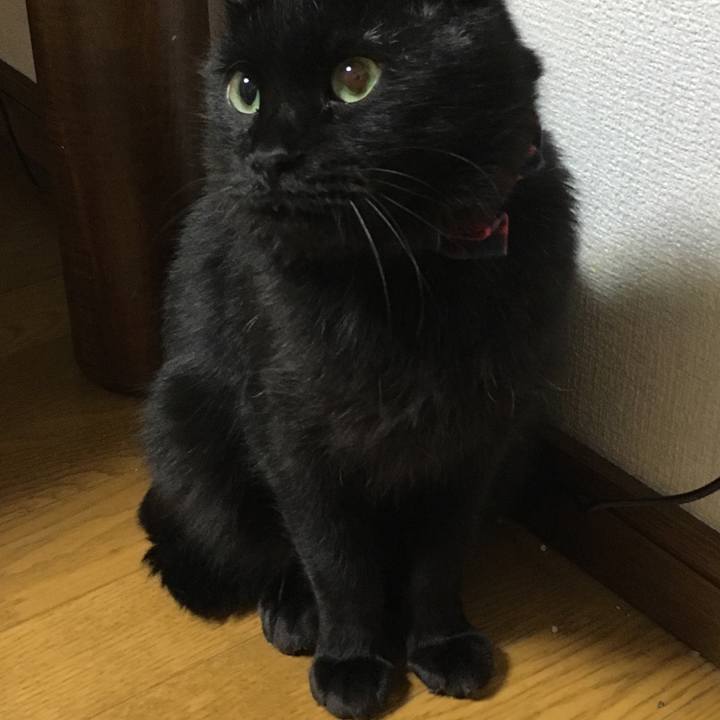 938ed4db ef81 47ae 8d08 61c26b0c0cd6 1534422017111