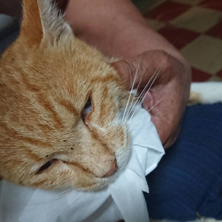 938f195a 3274 4aa7 b7d4 897d86ac9b38 1594378583753