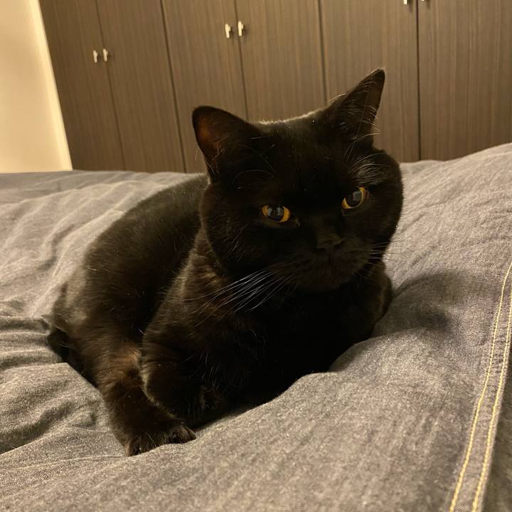 938f5b66 336c 497f b0c2 d2991026644b 1673100024814