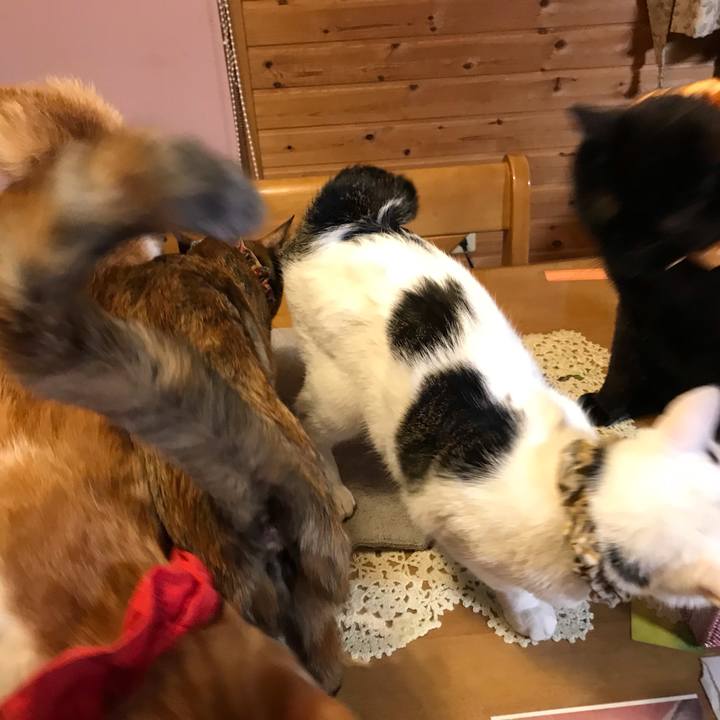 938f6b64 c58e 4a16 a5c2 975446e4730a 1625084934922