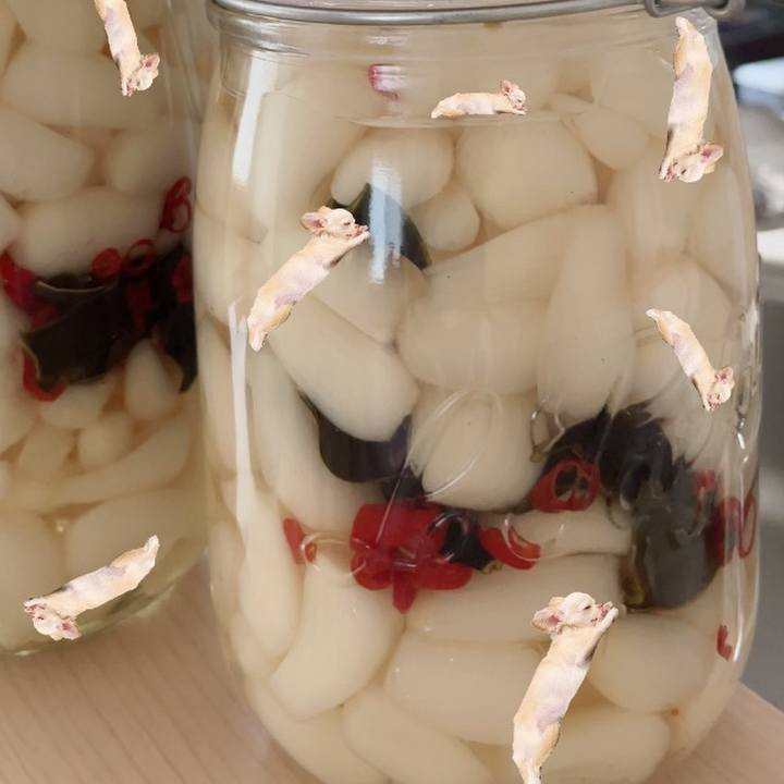 938f820b ec75 4711 9bdc ea2235cd6b3c 1689772248926