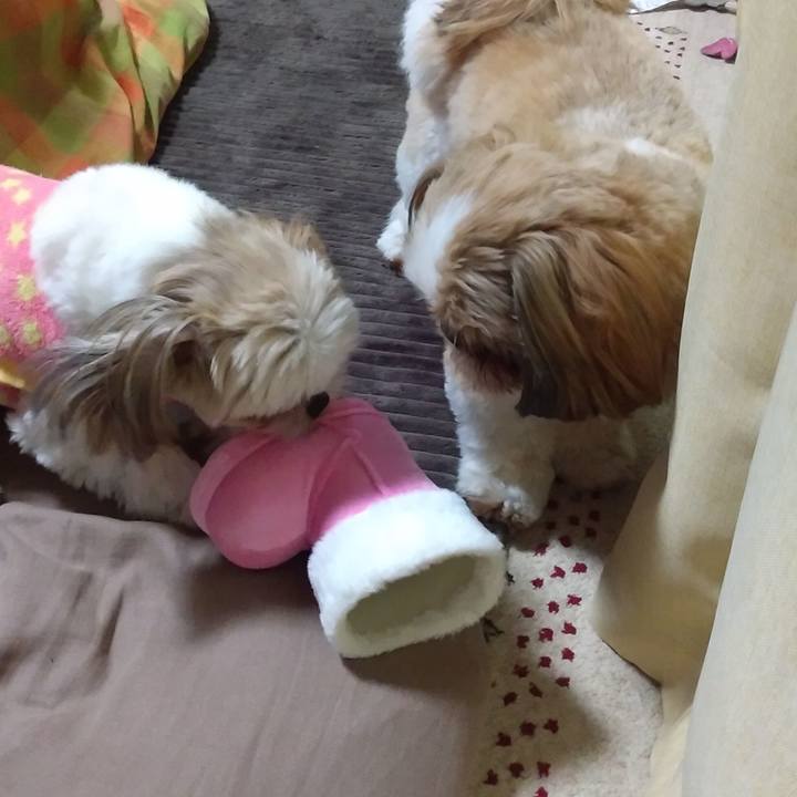 938fa577 89a1 47bb 80fb 236b14878785 1576404120052