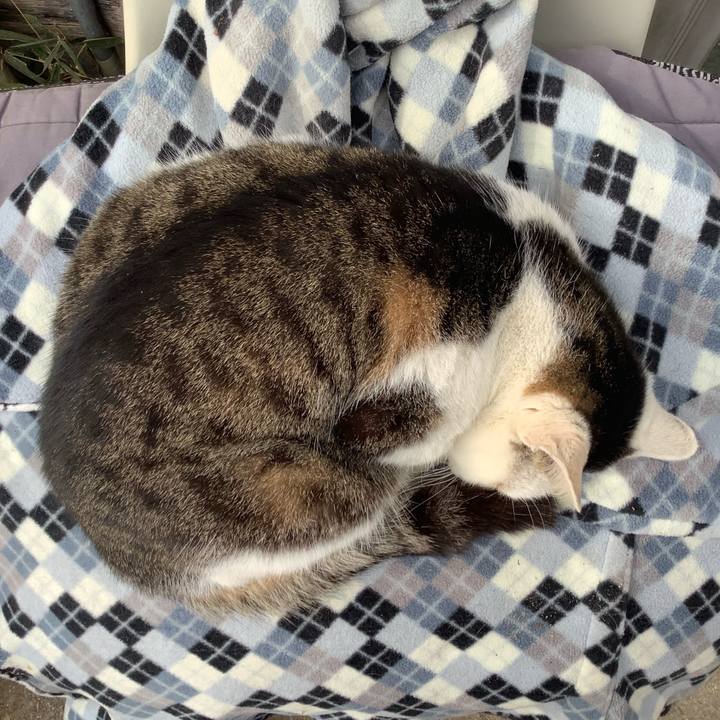 938fa848 8a39 4922 8ddf ee16cf22d4e5 1579945478809