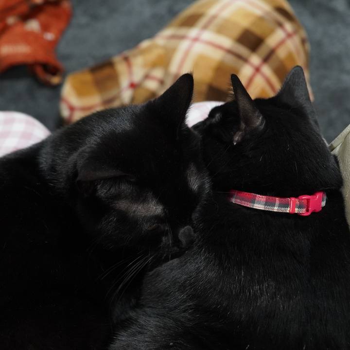 938fdab6 9b10 4651 b0cc ec7cf6eba593 1609767889167