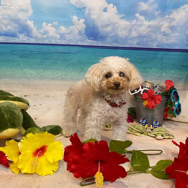 938fe659 b177 4340 bddc af03354b5678 1626927313618