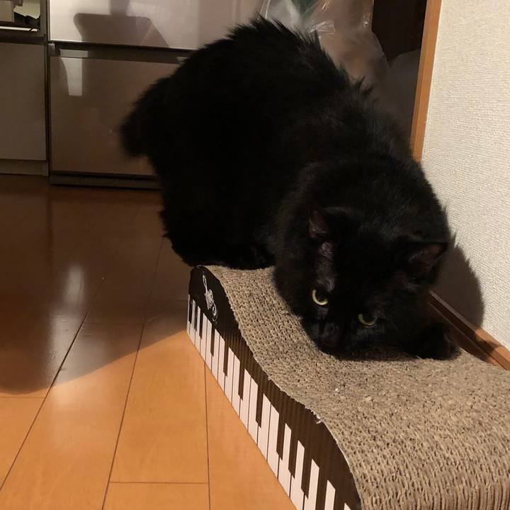 938ffe05 505e 4b1d ad53 273f0e31c42c 1536323025468